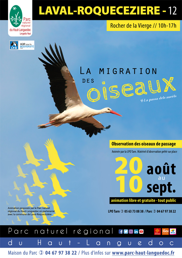 Affiche de "L'Observation de la migration des oiseaux" du 20 août au 10 septembre 2020 à Laval-Roquecezière (Aveyron)