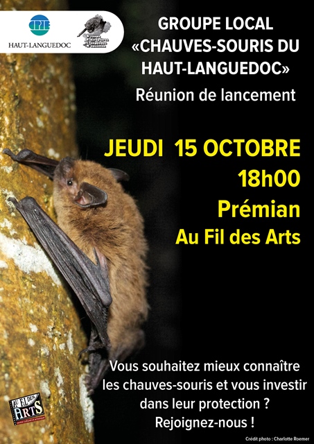 Affiche de La réunion du CPIE sur les chauves-souris du Parc naturel du Haut-Languedoc 