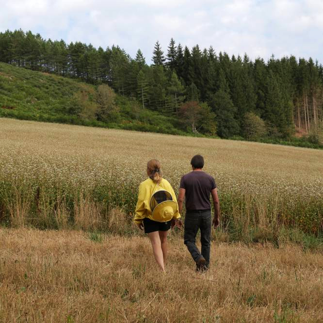 Aimé et sa compagne dans leurs champs de sarasin bio à Fontrieu, Tarn