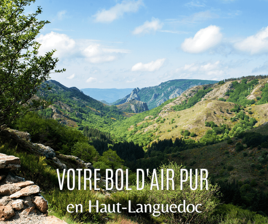 Paysage du Parc naturel du Haut Languedoc LD