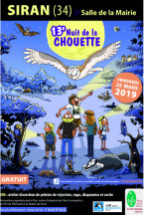 Nuit de la chouette